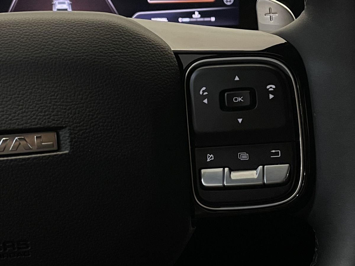 HAVAL F7x, 2025